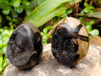 Polished Septerye Sauvage "Dragons" Egg Geodes x 4 From Madagascar