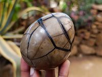 Polished Septerye Sauvage "Dragons" Egg Geodes x 4 From Madagascar