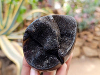 Polished Septerye Sauvage "Dragons" Egg Geodes x 4 From Madagascar