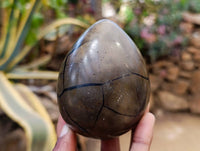 Polished Septerye Sauvage "Dragons" Egg Geodes x 4 From Madagascar