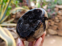 Polished Septerye Sauvage "Dragons" Egg Geodes x 4 From Madagascar