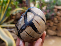 Polished Septerye Sauvage "Dragons" Egg Geodes x 4 From Madagascar
