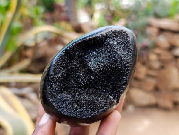 Polished Septerye Sauvage 