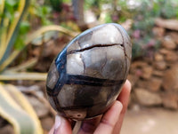 Polished Septerye Sauvage "Dragons" Egg Geodes x 4 From Madagascar