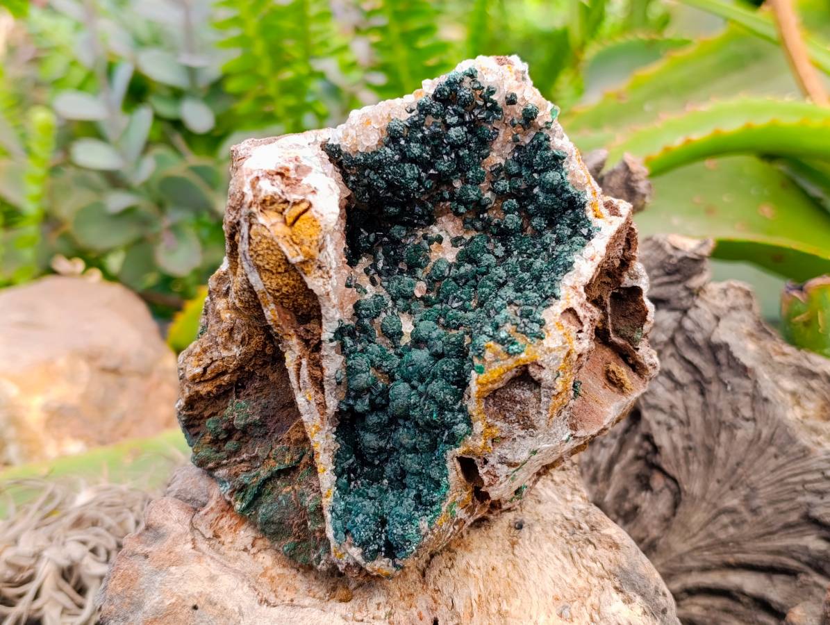 Natural Ball Malachite and Drusy Quartz On Dolomite Matrix Specimen x 1 From Kambove, Congo - Toprock Gemstones and Minerals 