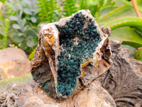 Natural Ball Malachite and Drusy Quartz On Dolomite Matrix Specimen x 1 From Kambove, Congo
