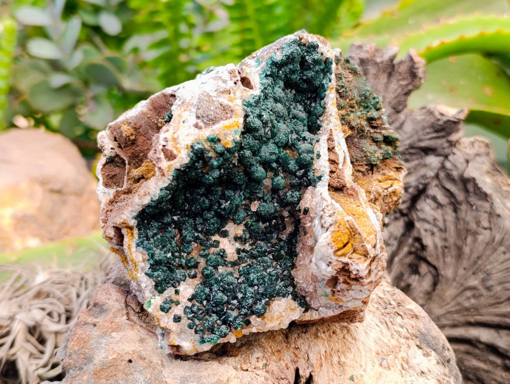 Natural Ball Malachite and Drusy Quartz On Dolomite Matrix Specimen x 1 From Kambove, Congo - Toprock Gemstones and Minerals 