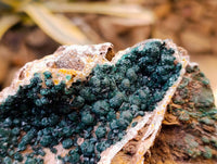 Natural Ball Malachite and Drusy Quartz On Dolomite Matrix Specimen x 1 From Kambove, Congo