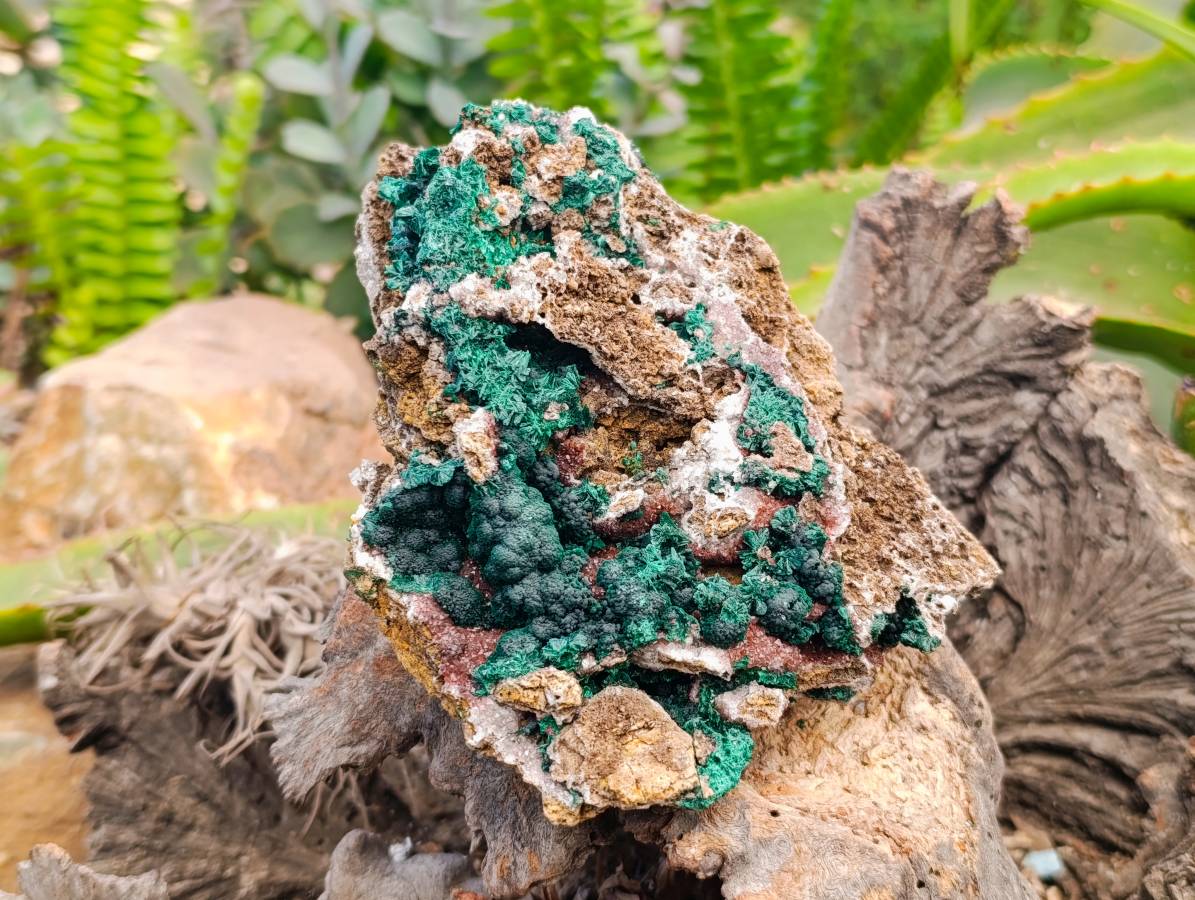 Natural Ball Malachite and Drusy Quartz On Dolomite Matrix Specimen x 1 From Kambove, Congo - Toprock Gemstones and Minerals 