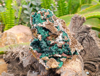 Natural Ball Malachite and Drusy Quartz On Dolomite Matrix Specimen x 1 From Kambove, Congo