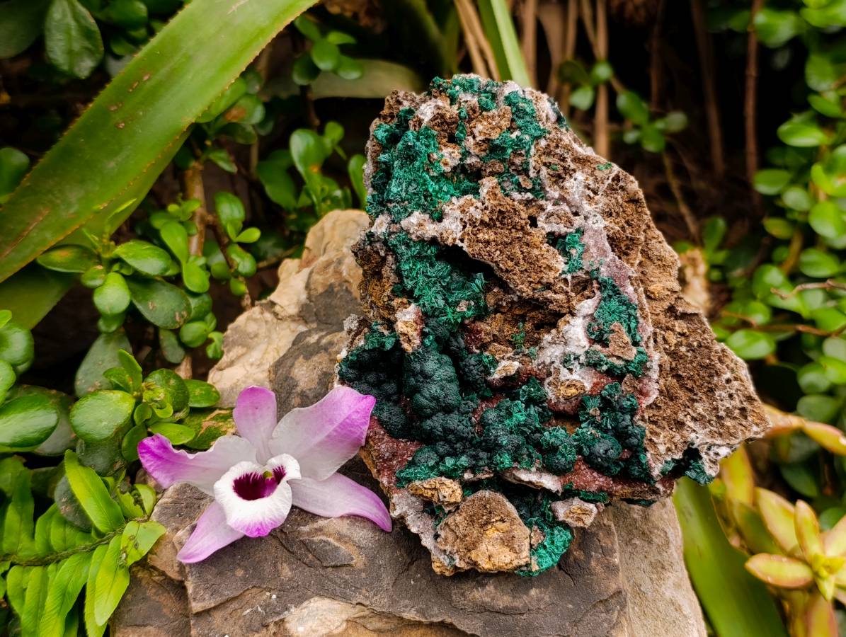 Natural Ball Malachite and Drusy Quartz On Dolomite Matrix Specimen x 1 From Kambove, Congo - Toprock Gemstones and Minerals 