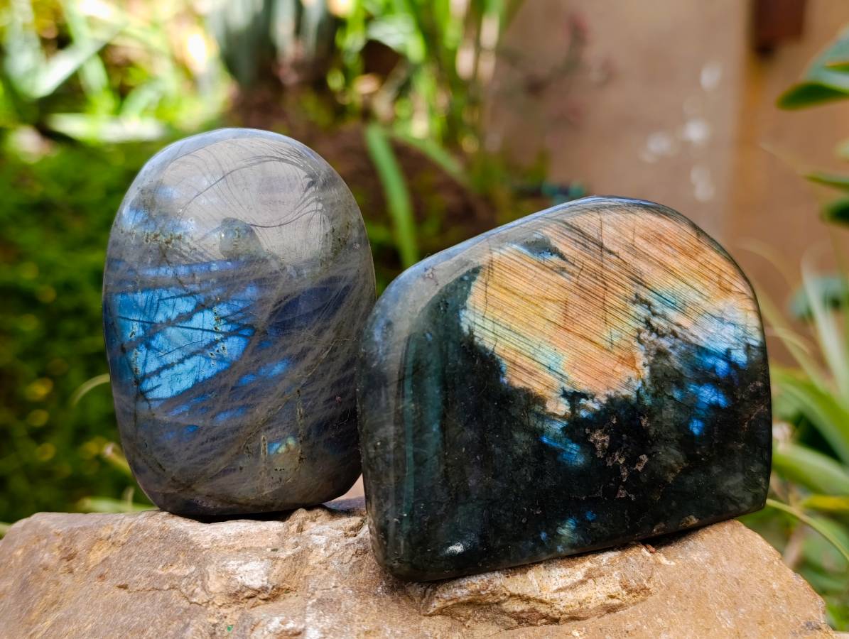 Polished Labradorite Standing Free Forms x 6 From Tulear, Madagascar - Toprock Gemstones and Minerals 
