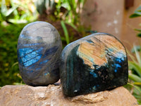 Polished Labradorite Standing Free Forms x 6 From Tulear, Madagascar