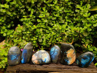 Polished Labradorite Standing Free Forms x 6 From Tulear, Madagascar