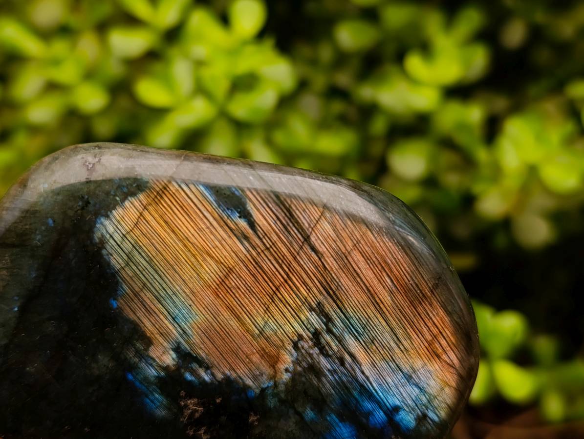 Polished Labradorite Standing Free Forms x 6 From Tulear, Madagascar - Toprock Gemstones and Minerals 