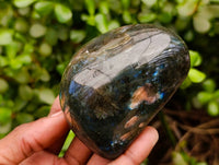 Polished Labradorite Standing Free Forms x 6 From Tulear, Madagascar