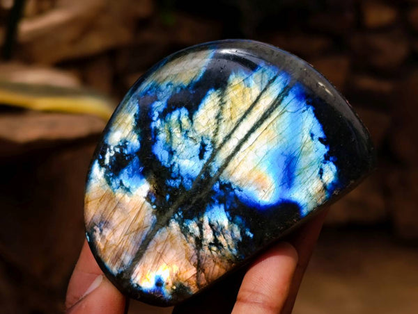 Polished Labradorite Standing Free Forms x 6 From Tulear, Madagascar
