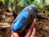 Polished Labradorite Standing Free Forms x 6 From Tulear, Madagascar