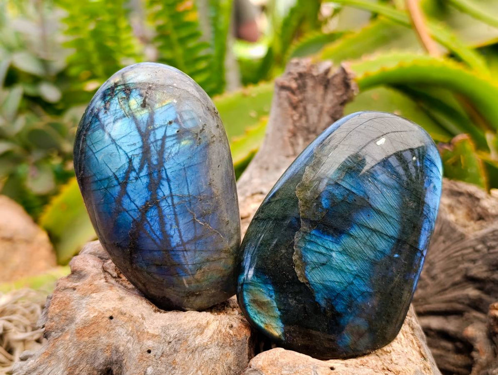 Polished Labradorite Standing Free Forms x 6 From Tulear, Madagascar - Toprock Gemstones and Minerals 
