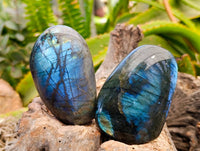 Polished Labradorite Standing Free Forms x 6 From Tulear, Madagascar