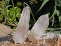 Natural Quartz Crystals x 16 From Madagascar