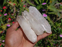 Natural Quartz Crystals x 16 From Madagascar