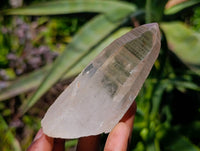 Natural Quartz Crystals x 16 From Madagascar