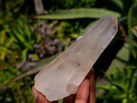 Natural Quartz Crystals x 16 From Madagascar