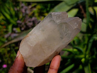 Natural Quartz Crystals x 16 From Madagascar