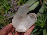 Natural Quartz Crystals x 16 From Madagascar