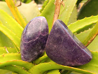 Polished Lepidolite Free Forms x 6 From Zimbabwe