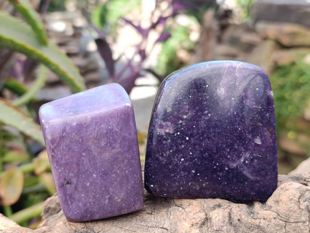 Polished Lepidolite Free Forms x 6 From Zimbabwe - Toprock Gemstones and Minerals 