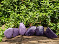 Polished Lepidolite Free Forms x 6 From Zimbabwe