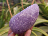 Polished Lepidolite Free Forms x 6 From Zimbabwe