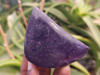 Polished Lepidolite Free Forms x 6 From Zimbabwe