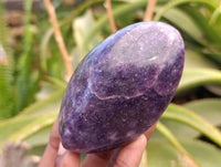Polished Lepidolite Free Forms x 6 From Zimbabwe
