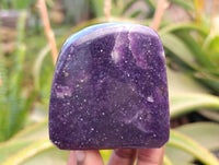 Polished Lepidolite Free Forms x 6 From Zimbabwe