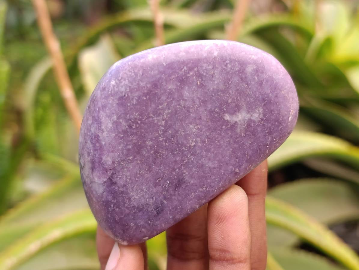 Polished Lepidolite Free Forms x 6 From Zimbabwe - Toprock Gemstones and Minerals 
