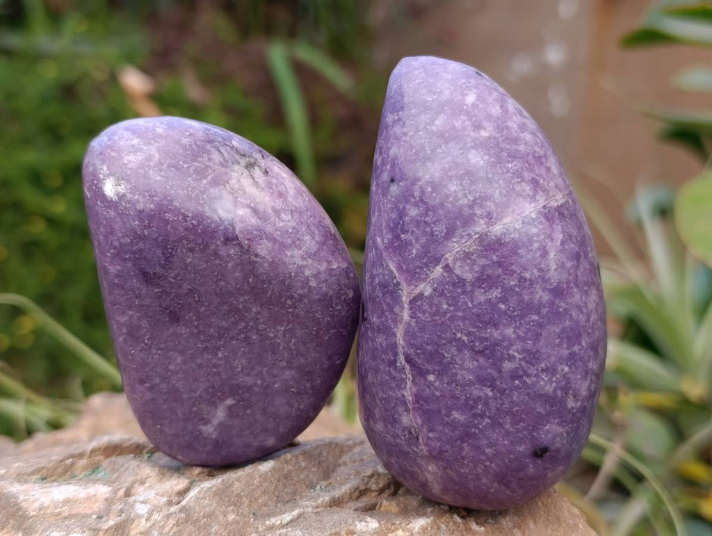 Polished Lepidolite Free Forms x 6 From Zimbabwe - Toprock Gemstones and Minerals 