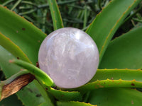 Polished Star Rose Quartz Spheres x 3 From Madagascar