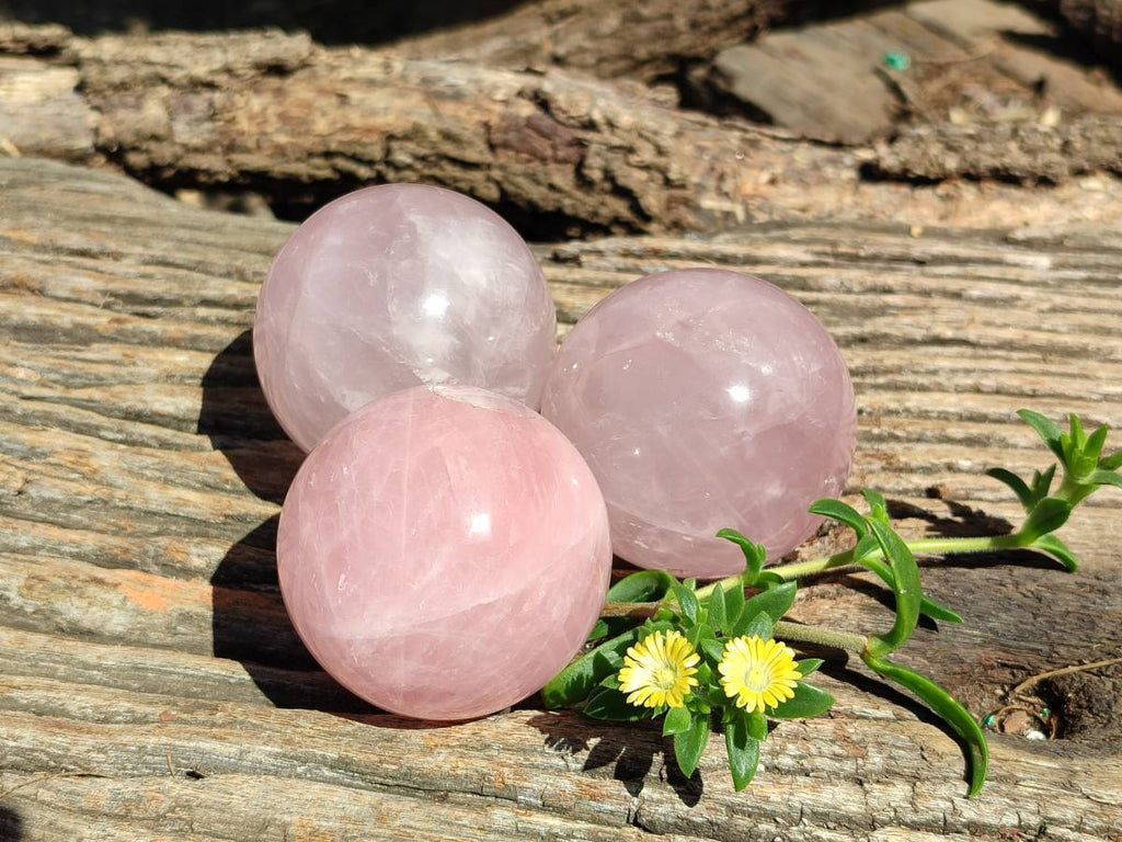 Polished Star Rose Quartz Spheres x 3 From Madagascar - Toprock Gemstones and Minerals 