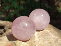 Polished Star Rose Quartz Spheres x 3 From Madagascar