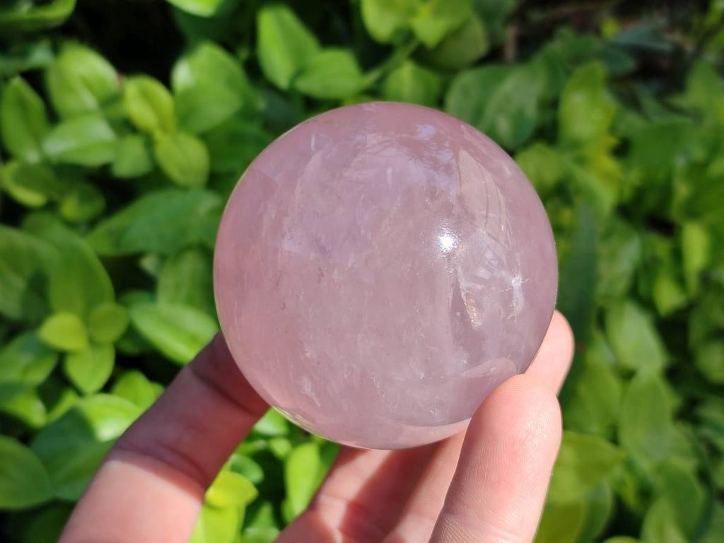 Polished Star Rose Quartz Spheres x 3 From Madagascar - Toprock Gemstones and Minerals 