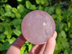 Polished Star Rose Quartz Spheres x 3 From Madagascar - Toprock Gemstones and Minerals 
