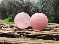 Polished Star Rose Quartz Spheres x 3 From Madagascar