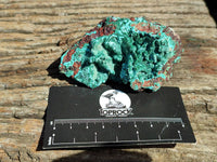 Natural Drusy Quartz Coated Malachite On Red Copper Dolomite Specimens x 3 From Lupoto Mine, Congo