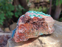 Natural Drusy Quartz Coated Malachite On Red Copper Dolomite Specimens x 3 From Lupoto Mine, Congo
