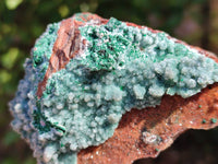 Natural Drusy Quartz Coated Malachite On Red Copper Dolomite Specimens x 3 From Lupoto Mine, Congo