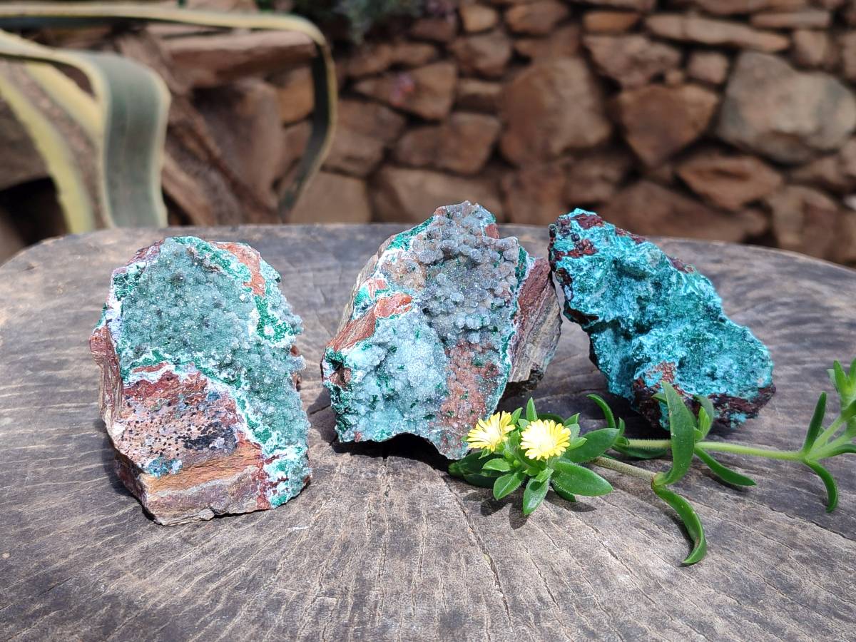 Natural Drusy Quartz Coated Malachite On Red Copper Dolomite Specimens x 3 From Lupoto Mine, Congo - Toprock Gemstones and Minerals 
