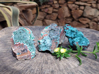 Natural Drusy Quartz Coated Malachite On Red Copper Dolomite Specimens x 3 From Lupoto Mine, Congo